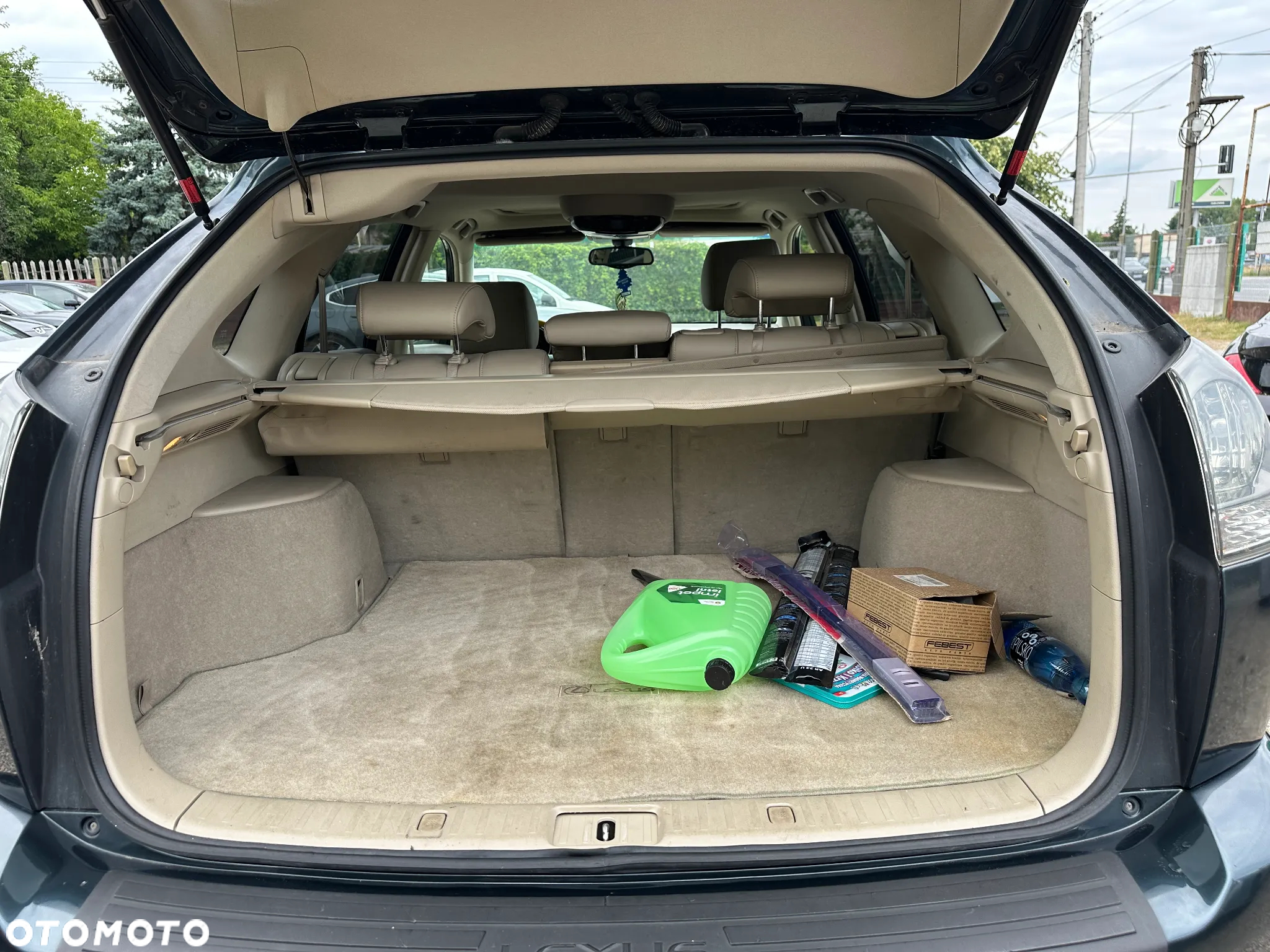 Lexus RX 330 - 18