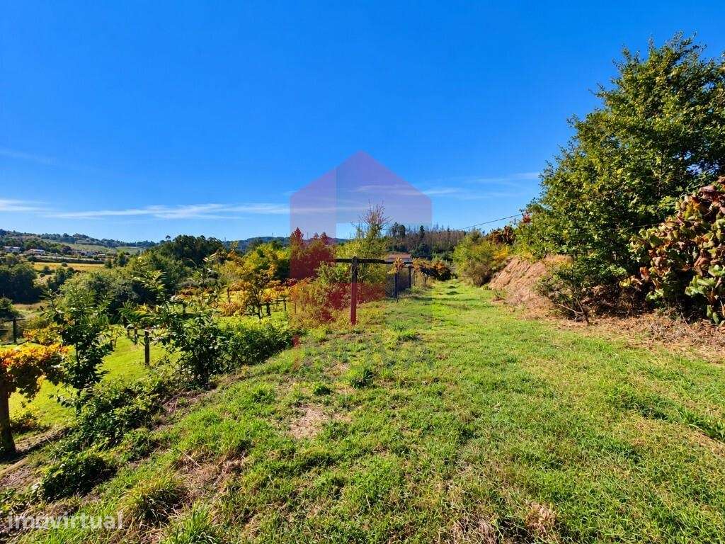 Quinta com Moradia em Pedra, Monsul - Grande imagem: 5/18