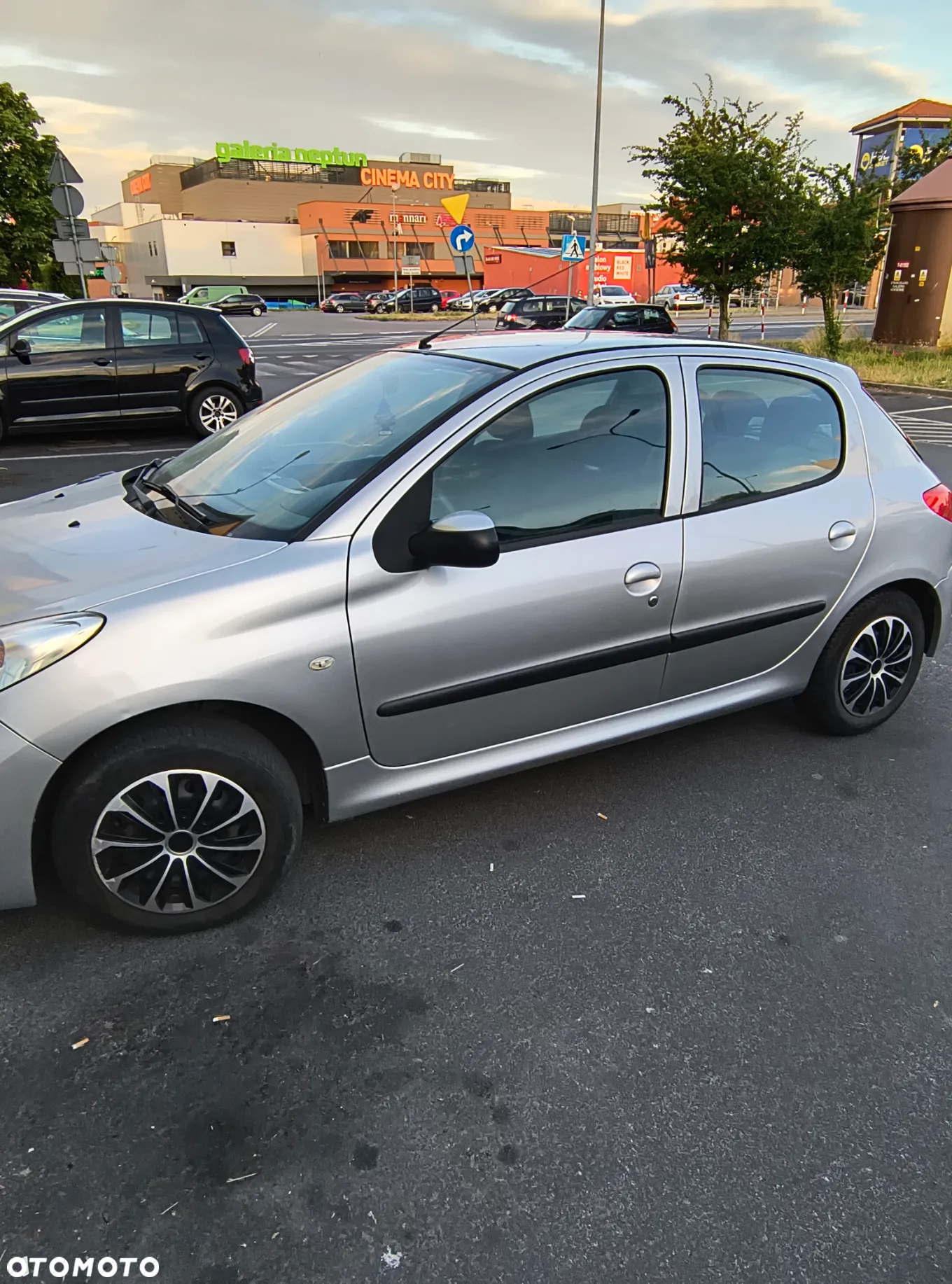 Peugeot 206 1.1 Husky - 3