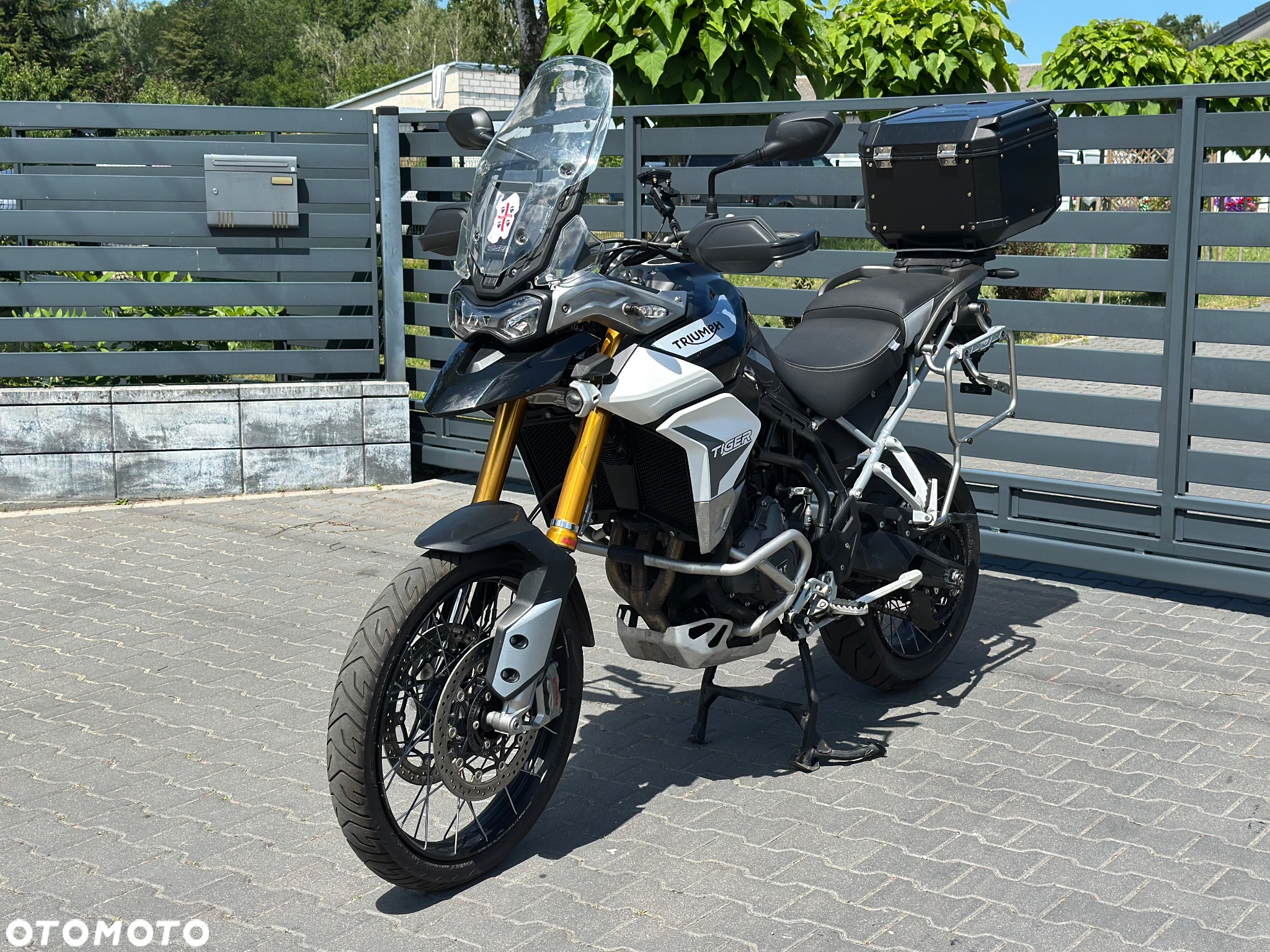 Triumph Tiger - 5