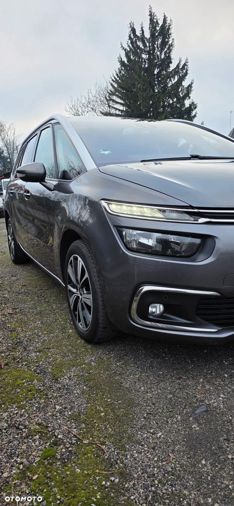 Citroën C4 SpaceTourer Grand BlueHDi 130 Stop&Start LIVE PACK - 18