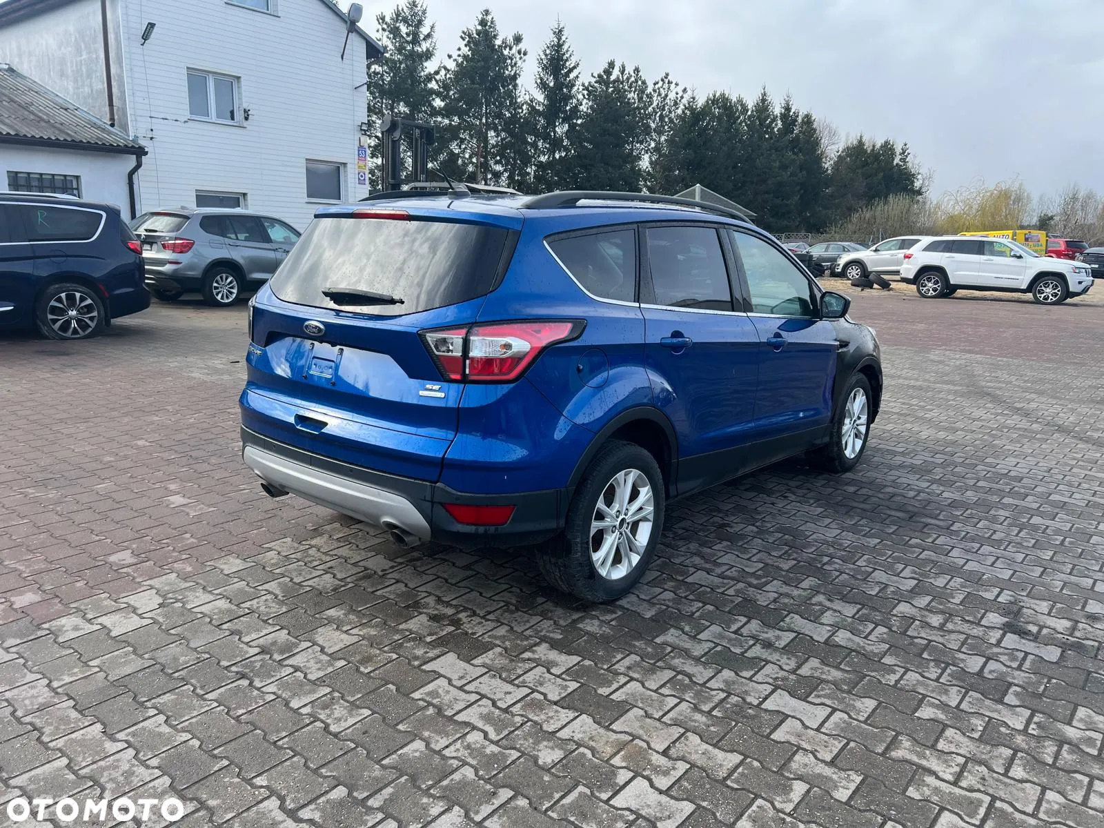 Ford Escape - 3