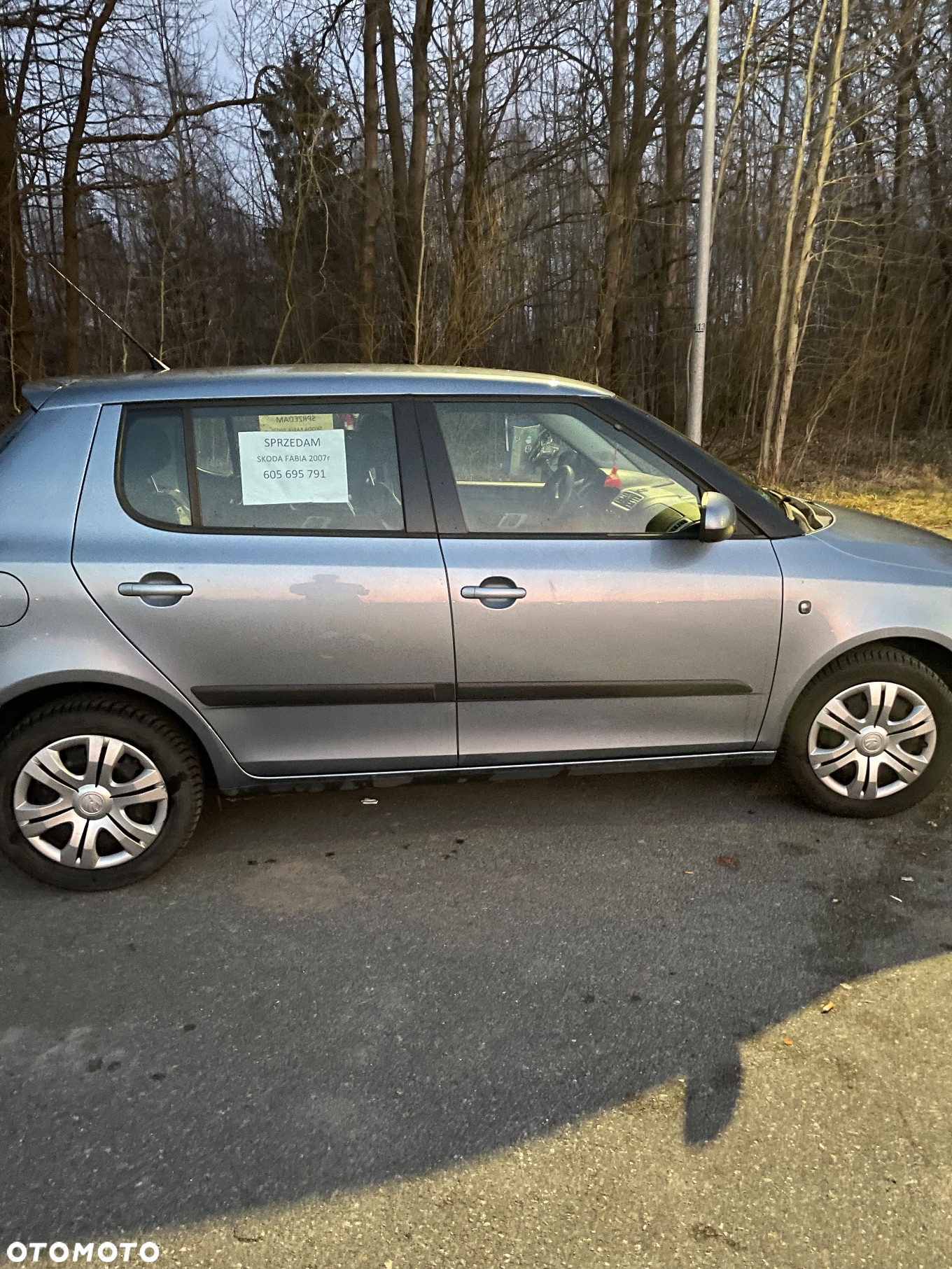 Skoda Fabia - 7