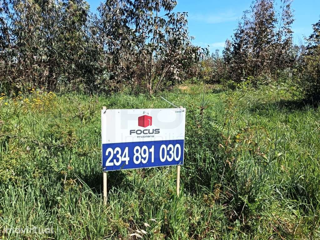 Terreno com 22.50m de frente para moradia - Alquerubim / Albergaria... - Grande imagem: 3/10