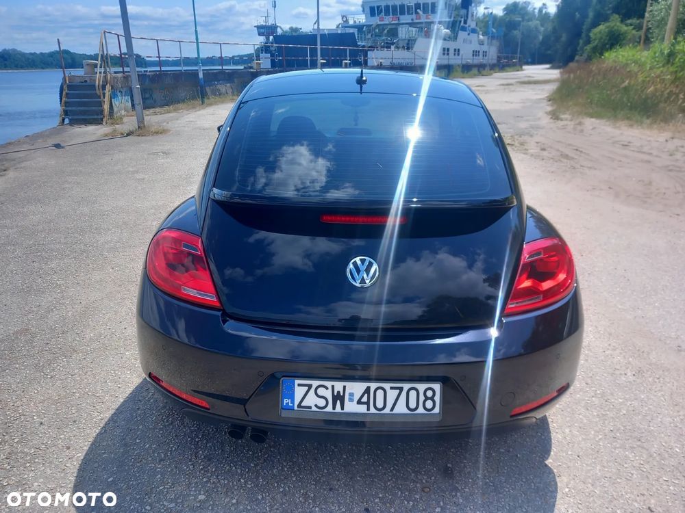 Volkswagen Beetle - 8