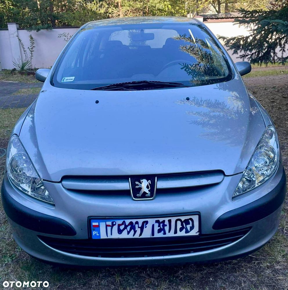 Peugeot 307 1.6 XS - 3