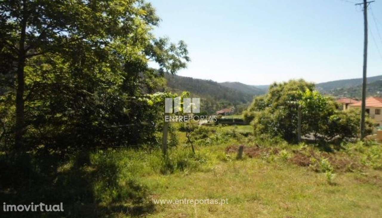 Venda Terreno, Nespereira, Cinfães - Grande imagem: 4/8