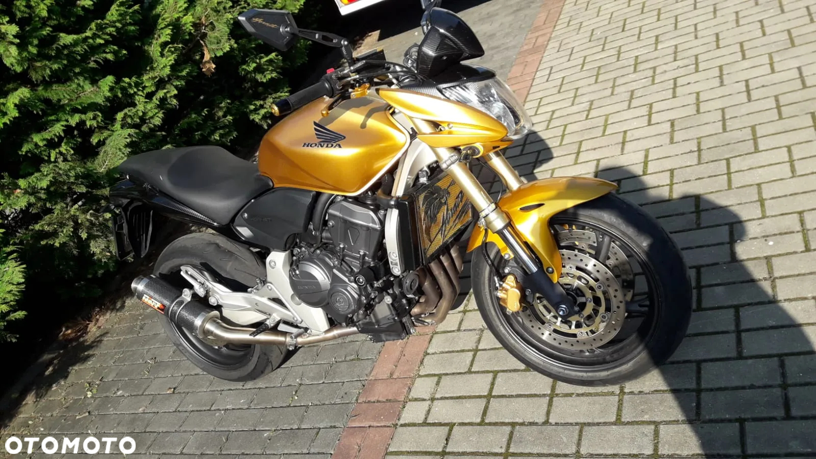 Honda Hornet - 10