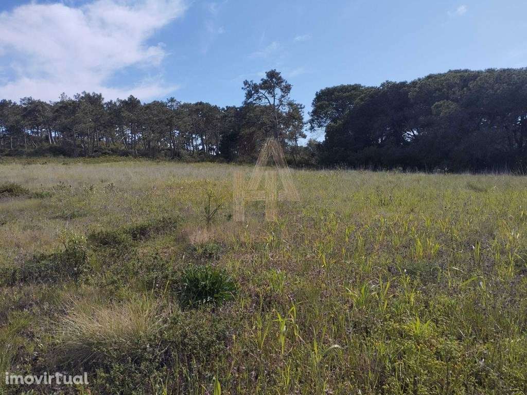 Terreno em Sesimbra (Castelo) - Grande imagem: 3/7