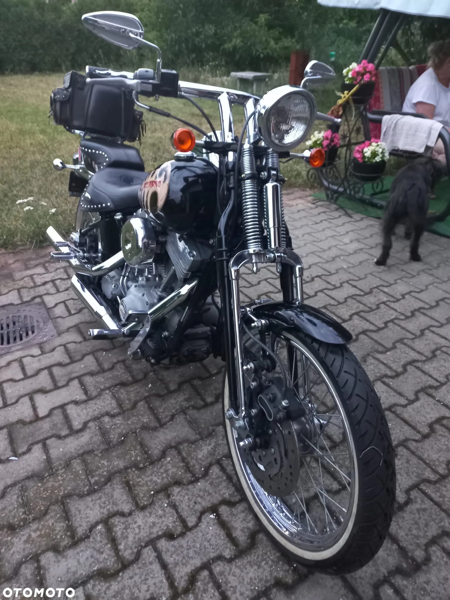 Harley-Davidson Softail - 2