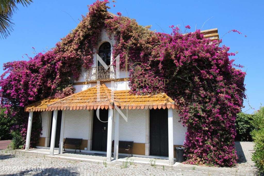 Moradia solarenga construída na primeira metade do séc. XX em bom esta - Grande imagem: 3/29