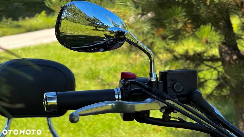 Yamaha XVS - 21