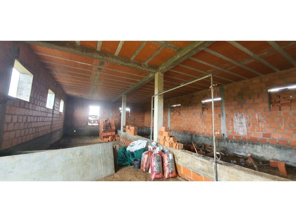 Terreno rústico com 22.250 m2 em Alter do Chão - Grande imagem: 3/16