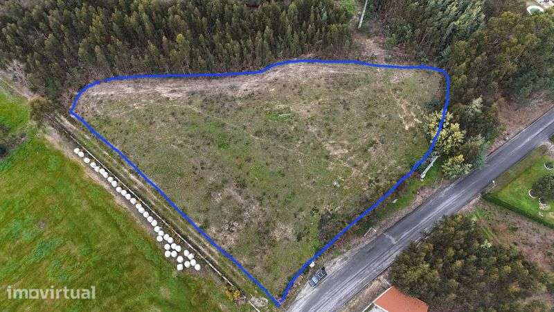 Terreno urbano à venda em Tondela – LOCALIZAÇÃO PRIVILEGIADA! - Grande imagem: 5/5