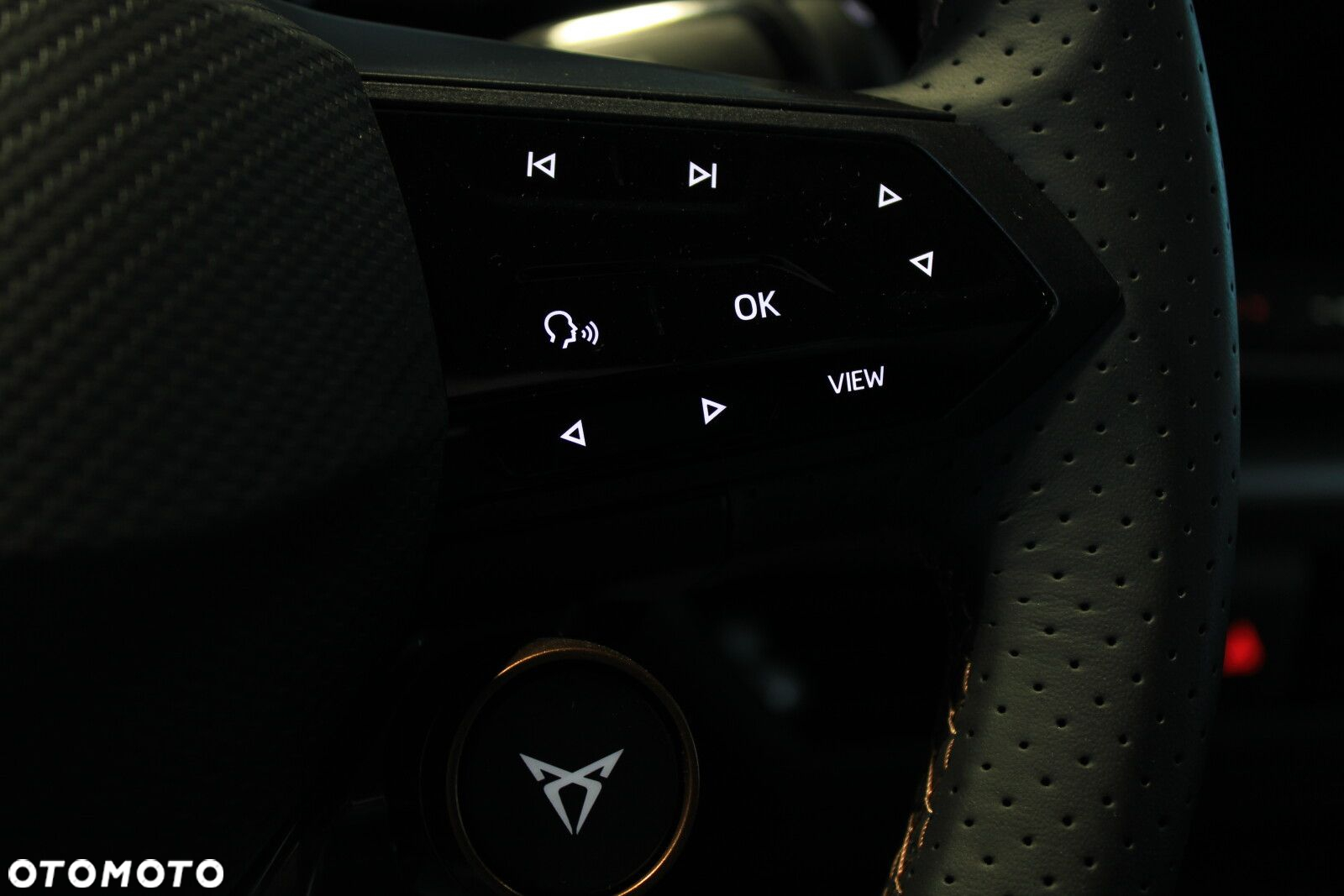 Cupra Born - 15