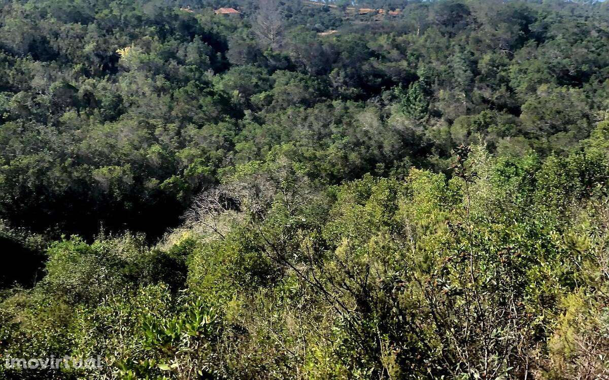 Terreno Rústico - Grande imagem: 2/7