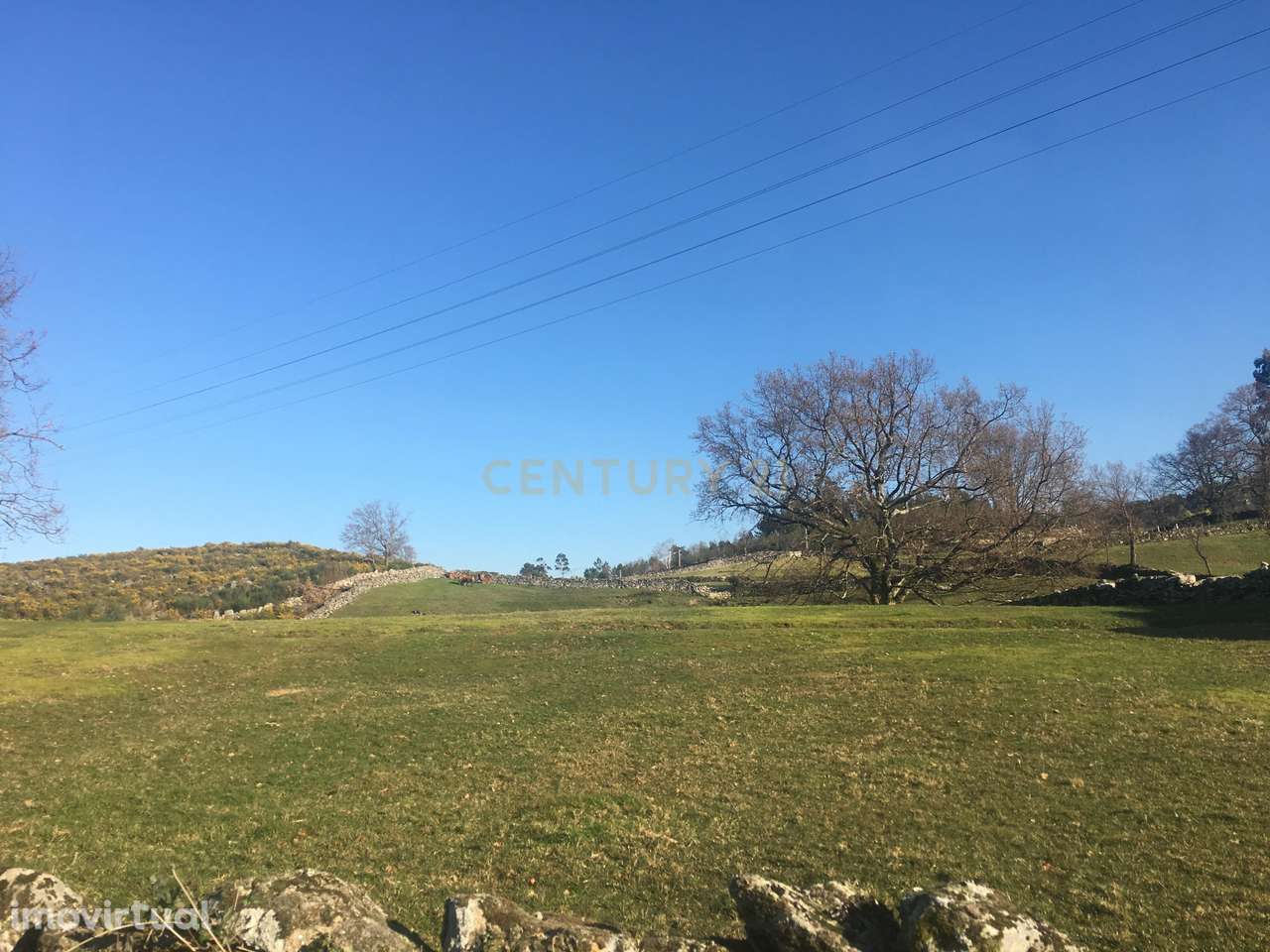 Quinta com água Nascente na Zona de Gerês - Grande imagem: 5/60