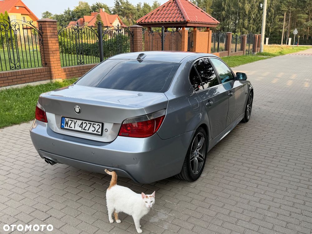 BMW Seria 5 - 19