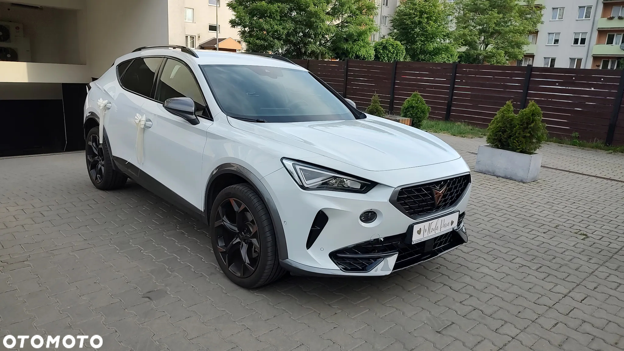 Cupra Formentor 1.5 TSI - 7