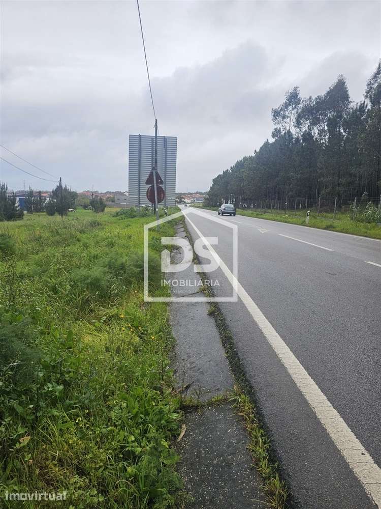 Terreno Rústico T0 Venda em Carriço,Pombal - Grande imagem: 3/12
