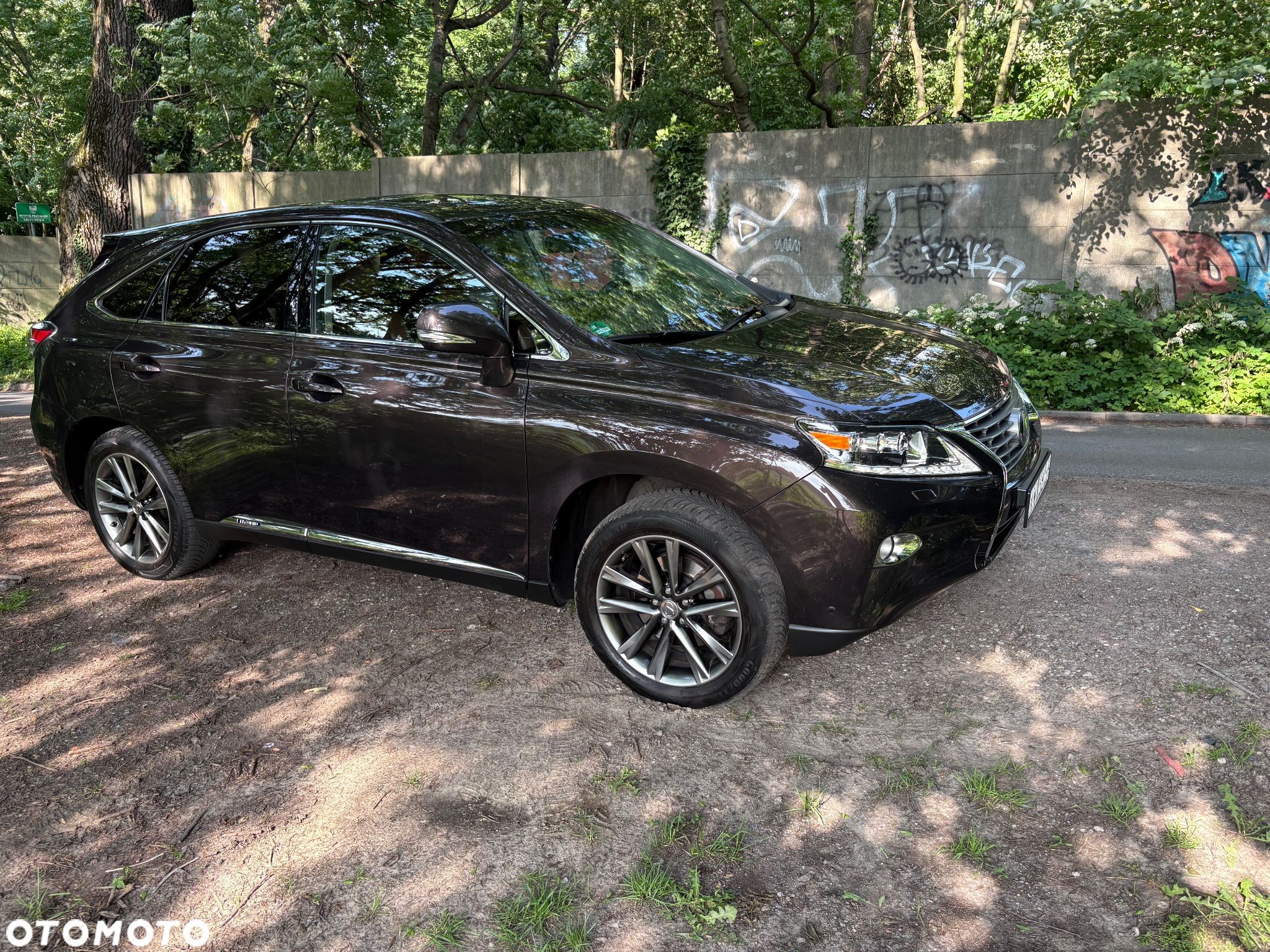 Lexus RX - 1