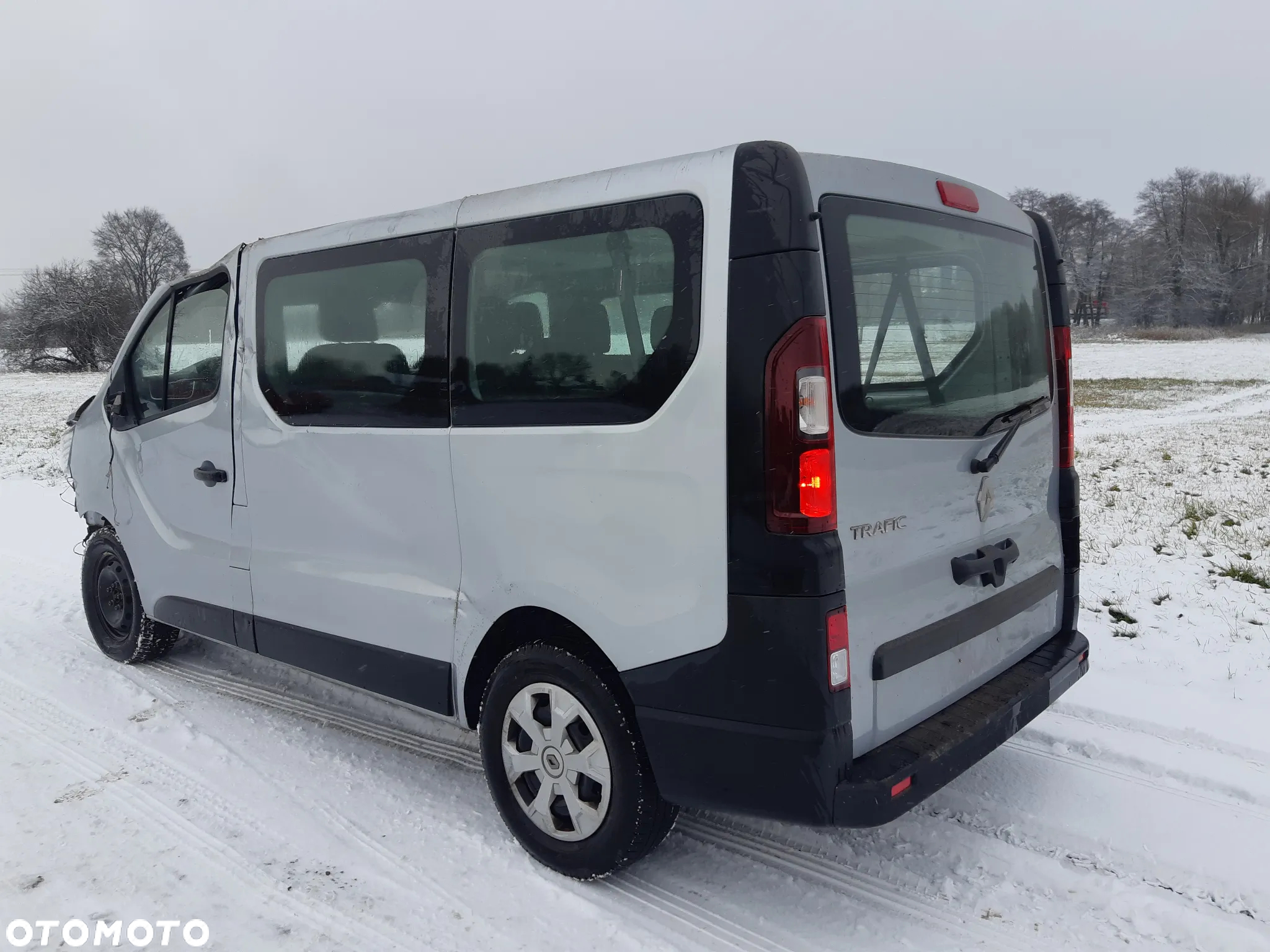 Renault Trafic - 3