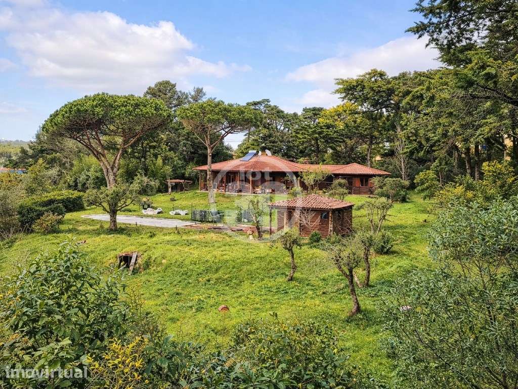 Moradia exclusiva com 6.588 m² de terreno urbano a 1 km do Centro H... - Grande imagem: 3/60