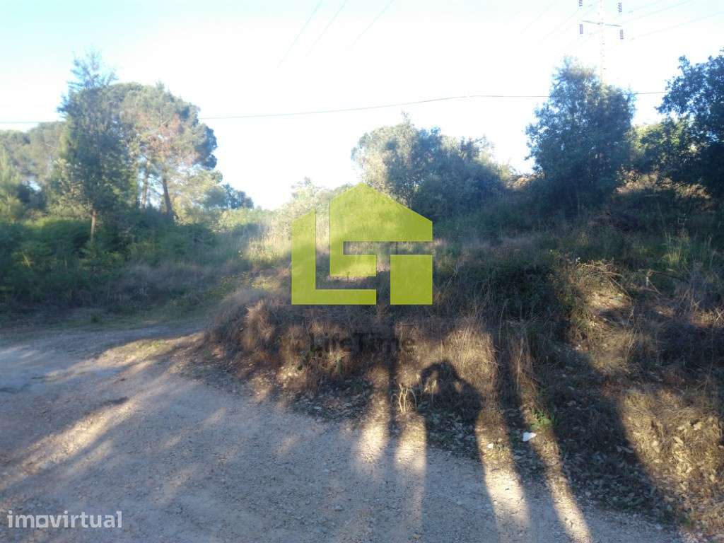 Terreno para construção. - Grande imagem: 5/10