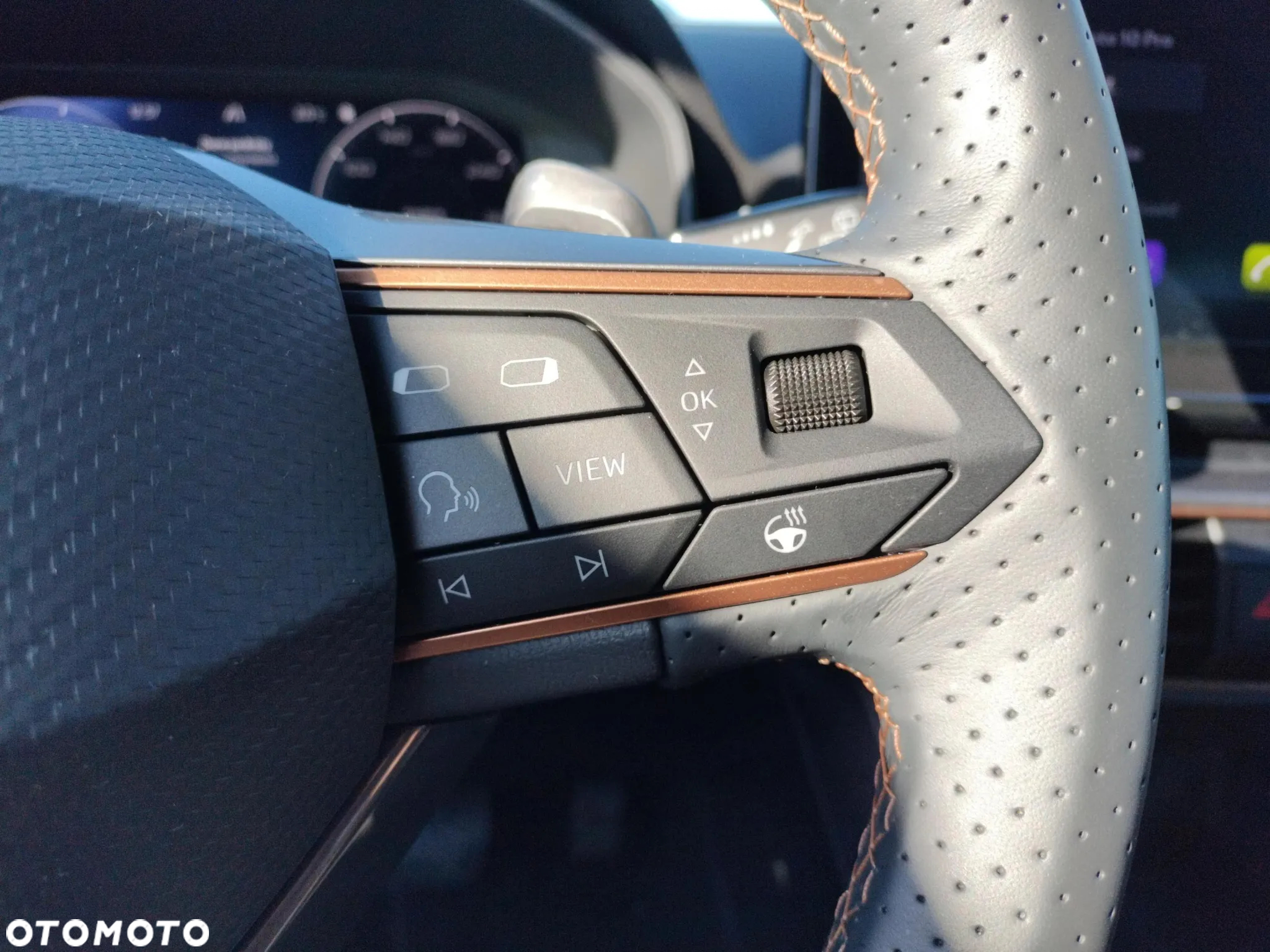 Cupra Leon 2.0 TDI DSG - 26