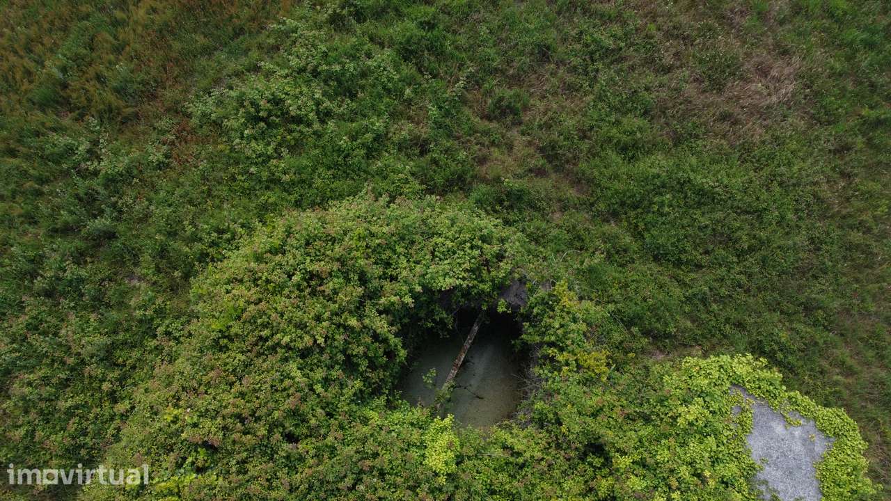 Terreno Rústico de 7000m² na Bairrada - Grande imagem: 3/8