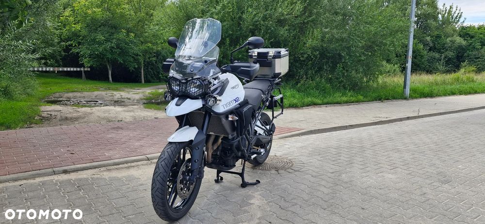 Triumph Tiger - 9