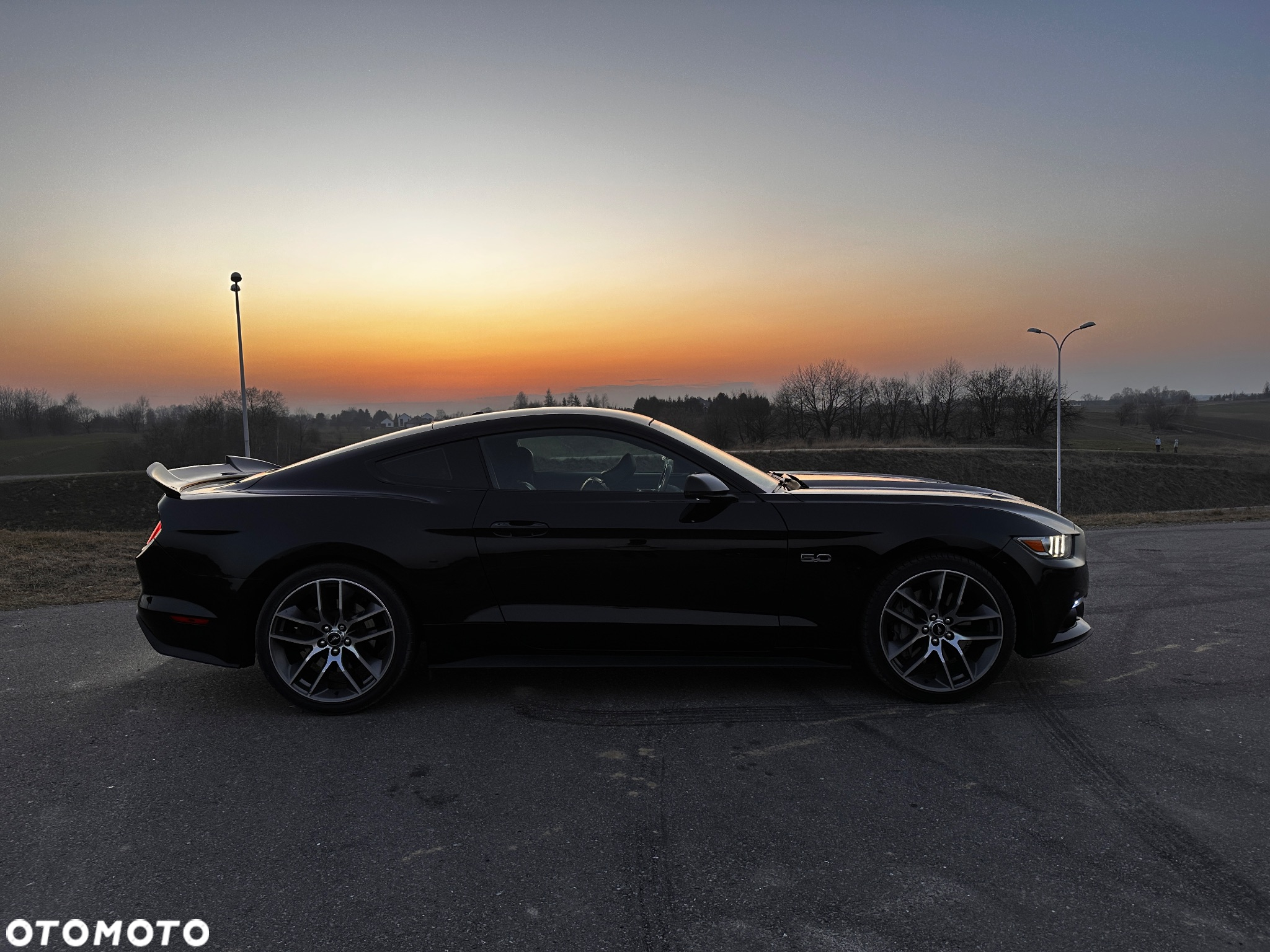 Ford Mustang 5.0 V8 Black Edition - 2
