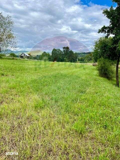 Teren 1,884mp Berbesti / Drumul secundar - Imagine principală: 2/5