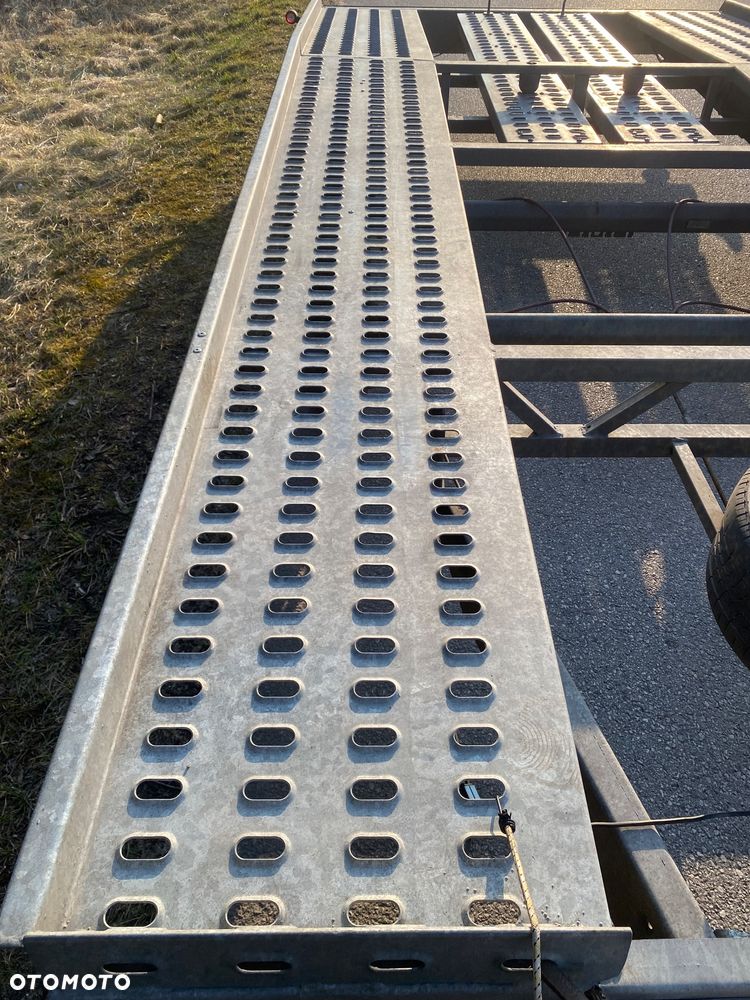 Niewiadów Jupiter - 6