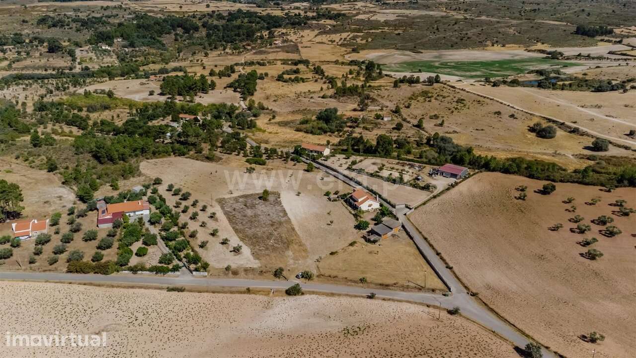 Terreno / Fundão, Mata da Rainha