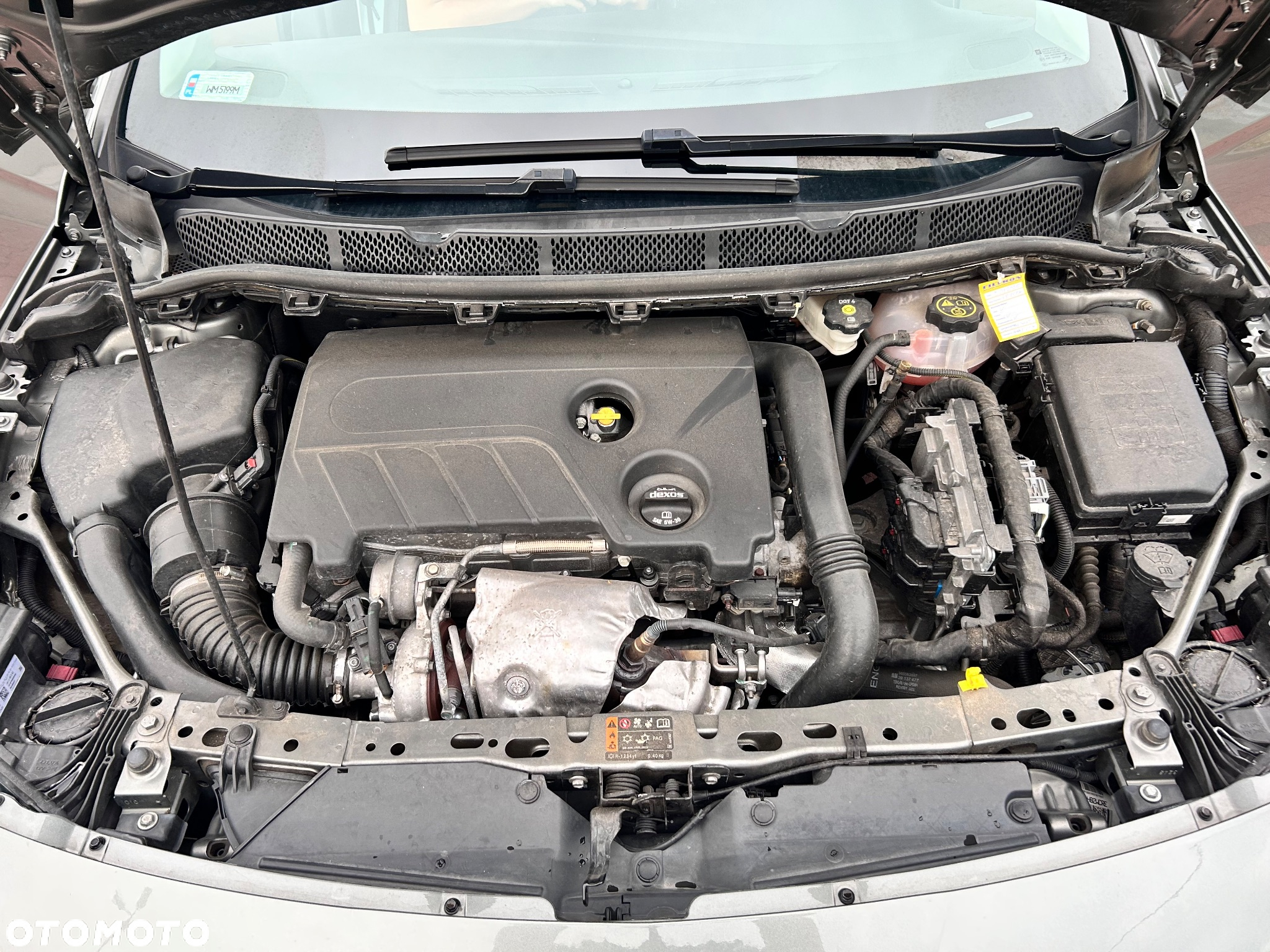Opel Astra V 1.6 T Elite S&S - 17