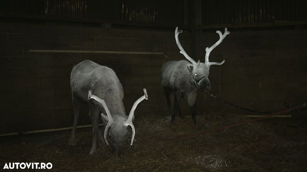 Spray reflectorizant pentru animalele de companie si cai Albedo100 , 200ml - 3