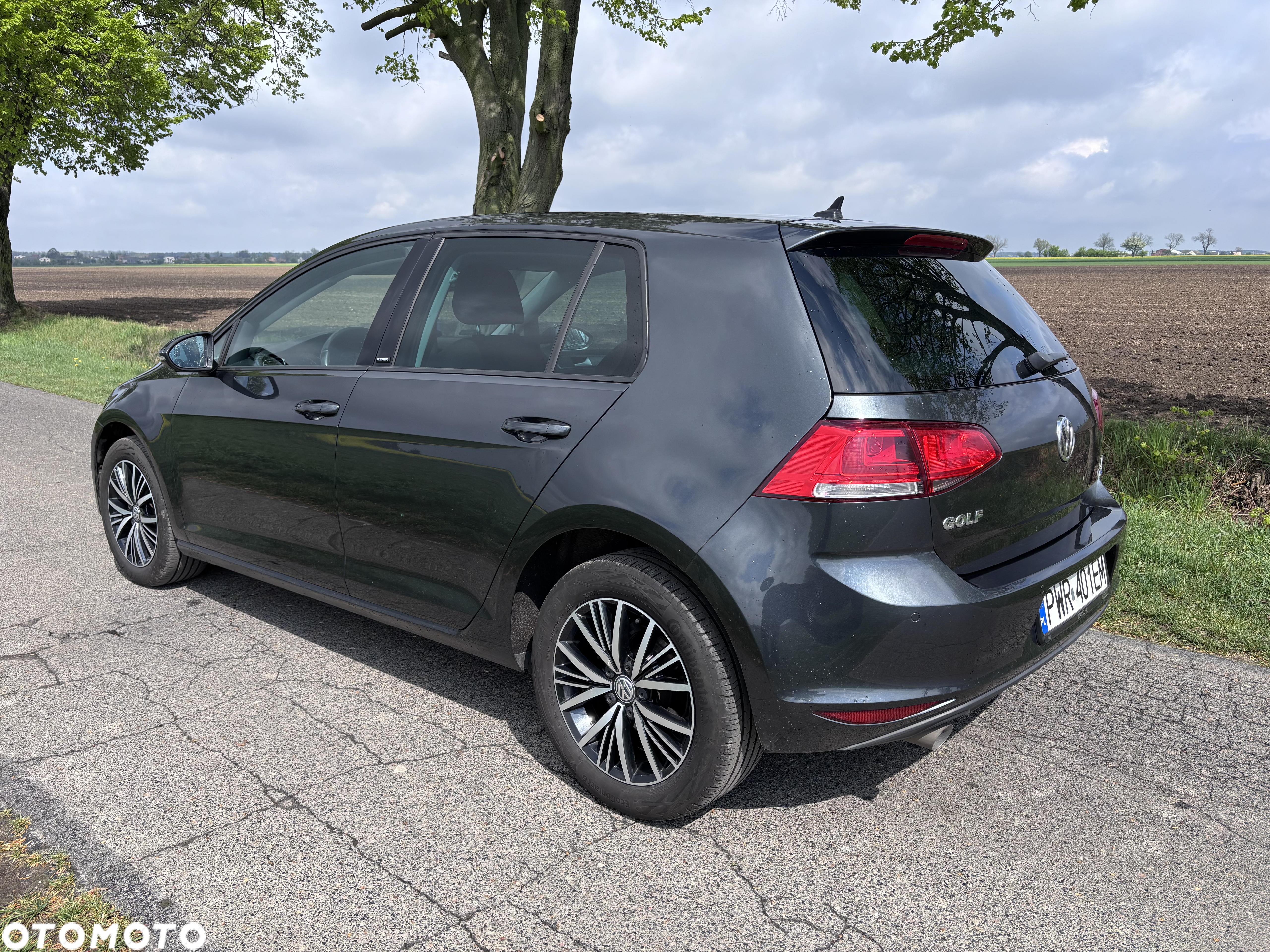 Volkswagen Golf 1.6 TDI BlueMotion Technology Allstar - 4