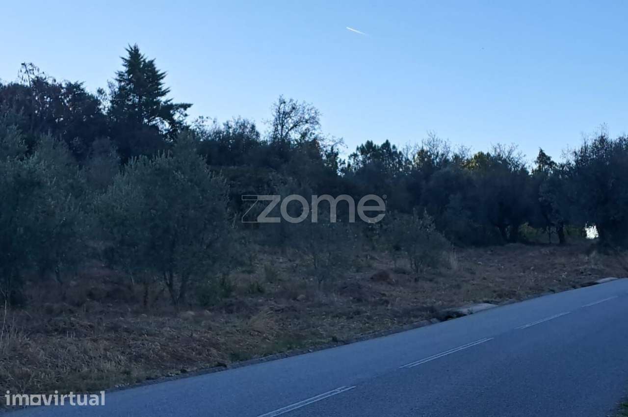TERRENO COM POTENCIAL AGRÍCOLA E ECONÓMICO | 1.420 m² | ALMALAGUÊS - Grande imagem: 4/14