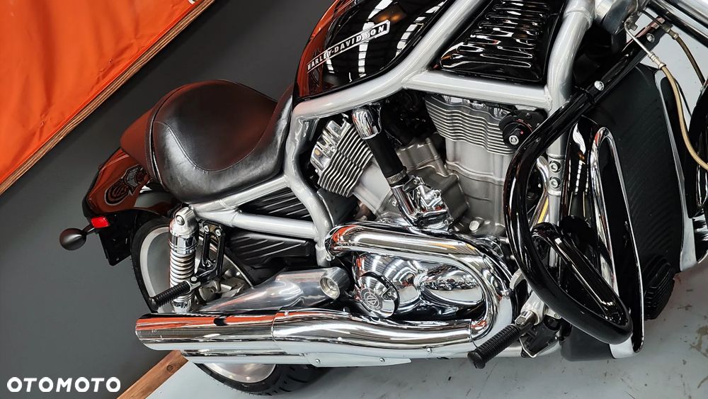 Harley-Davidson Softail V-Rod - 21