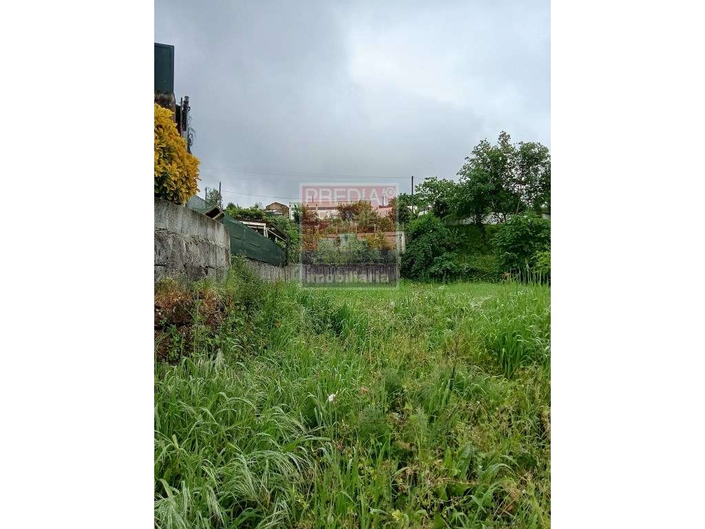 TERRENO PARA CONSTRUÇÃO EM VILAR - OLIVEIRA DE AZEMEIS - Grande imagem: 4/9