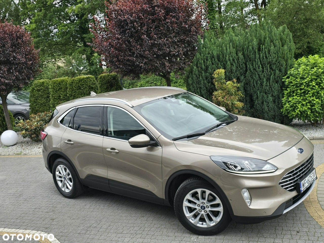 Ford Kuga 1.5 EcoBlue FWD Titanium - 3