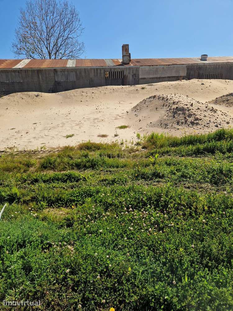 Terreno Rústico em Espinho - Oportunidade Única por 125.000€ - Grande imagem: 5/7