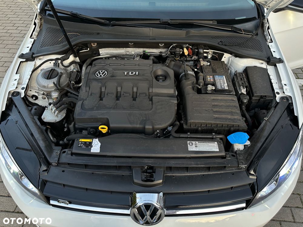 Volkswagen Golf 2.0 TDI BlueMotion Technology DSG Cup - 16