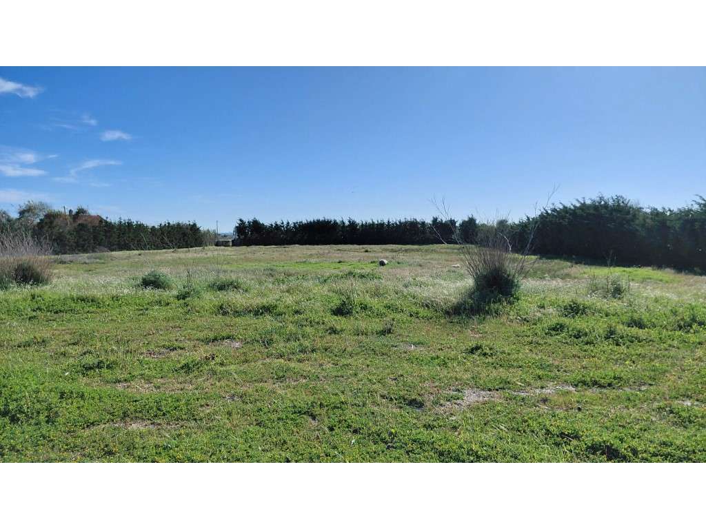 Terreno Rústico em Milfontes - Grande imagem: 4/16