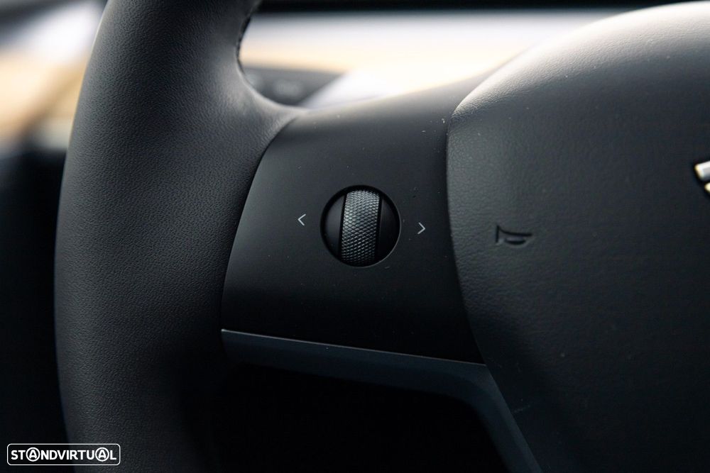 Tesla Model Y Performance Dual Motor AWD - 25