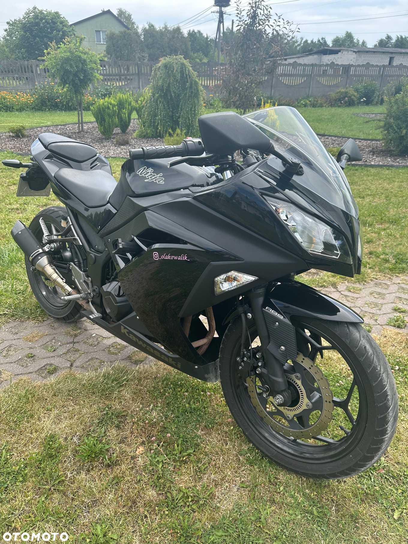 Kawasaki Ninja 300 ABS - 15