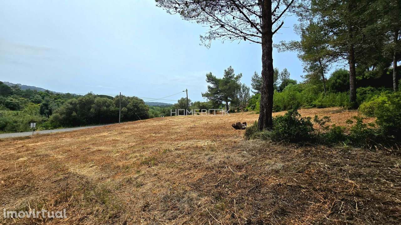 Terreno com uma área total de 29.520m2 - Grande imagem: 2/12