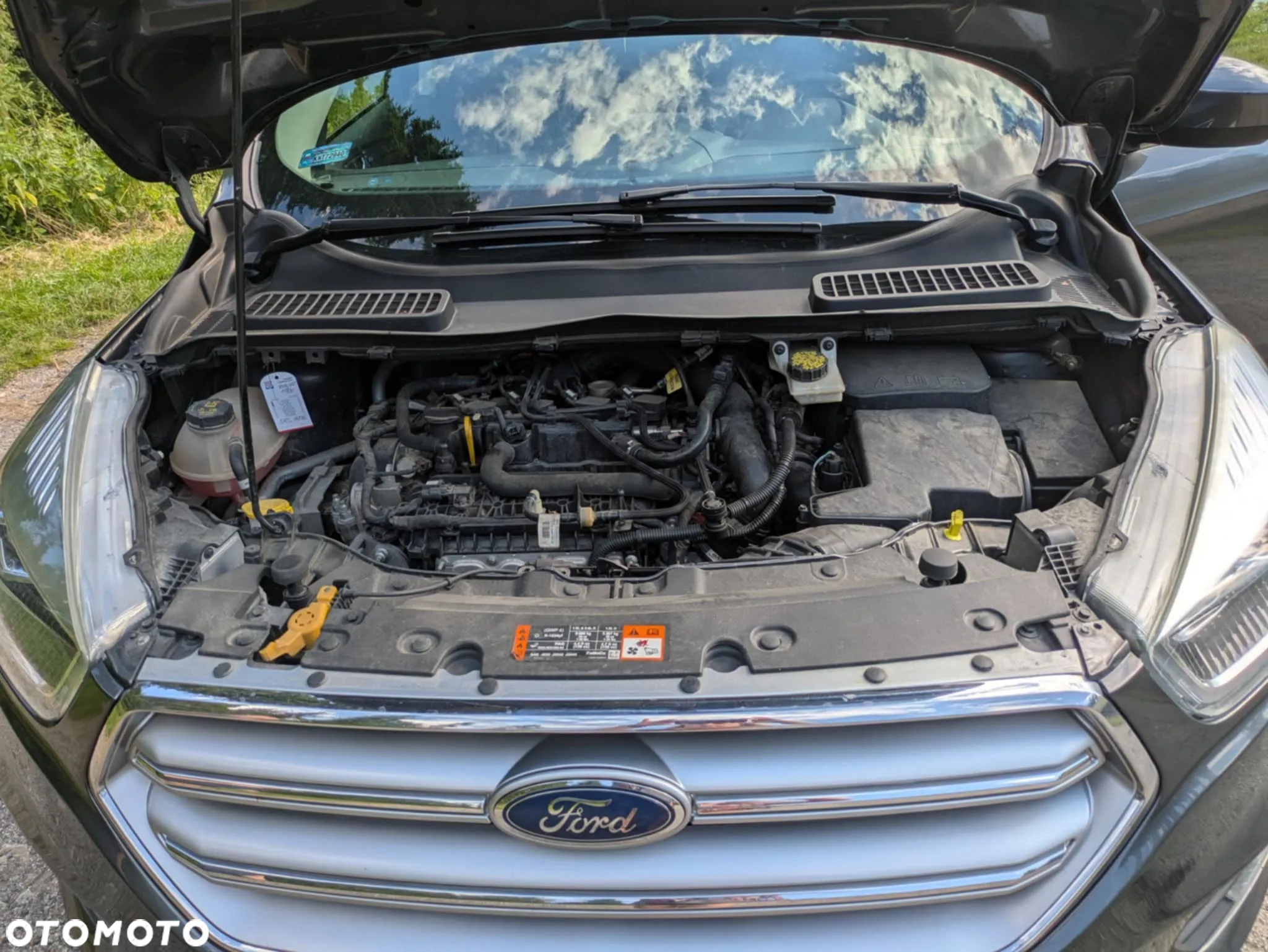 Ford Escape 1.5 EcoBoost AWD SE - 14