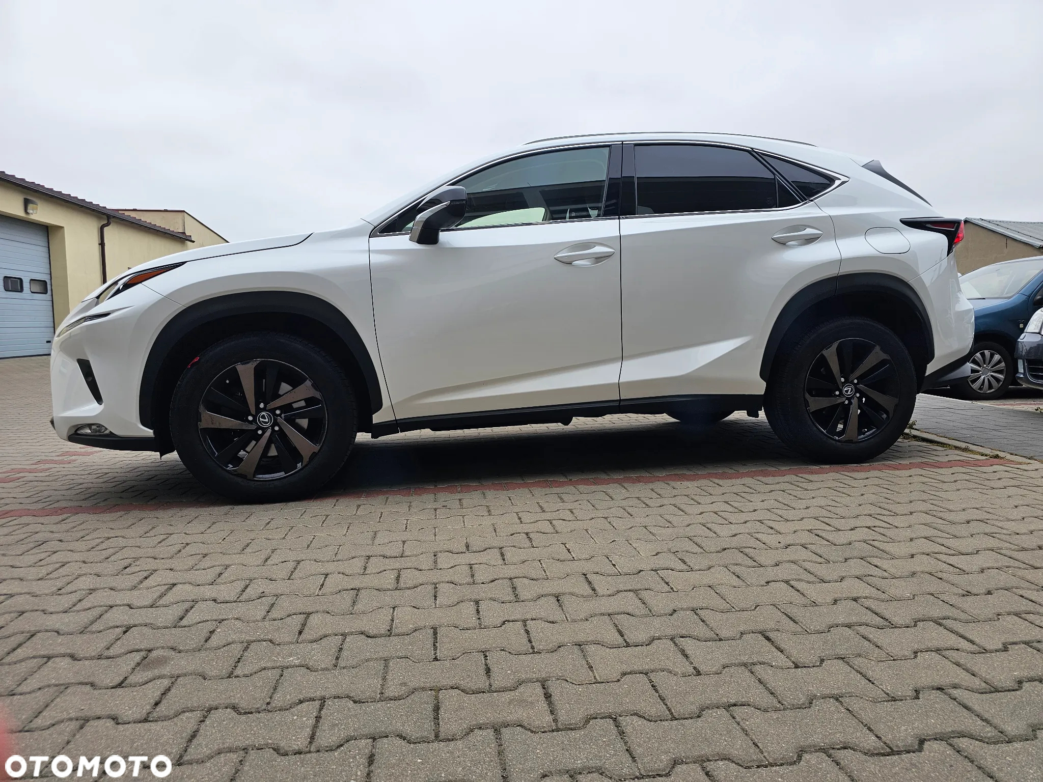 Lexus NX 300 Elegance AWD - 12